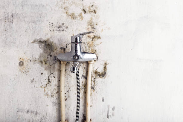 Best Residential Mold Removal  in Sully Square, VA