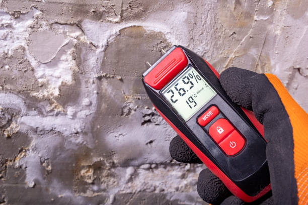 Professional Mold Removal in Sully Square, VA