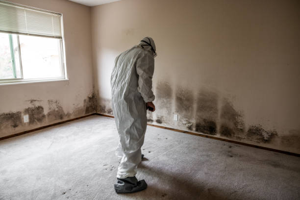 Best Mold Testing  in Sully Square, VA